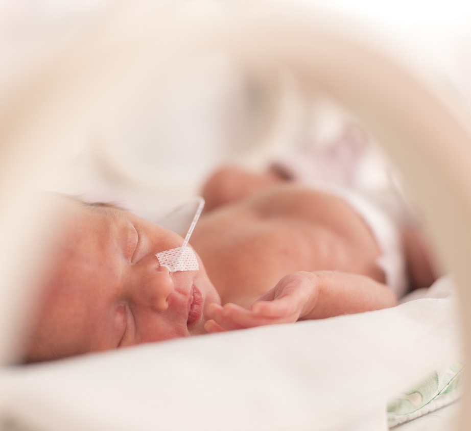 shutterstock_396467257 vierkant-518f3377-869e-419f-b446-efc81ad2f6a1.jpg